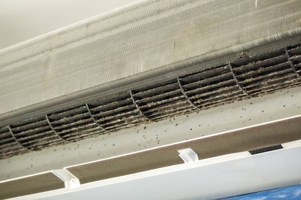 Best Affordable Air Duct Cleaning  in Orange Beach, AL